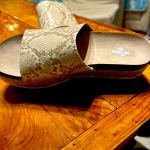 Dolce Vita. The Ismerelda shoe